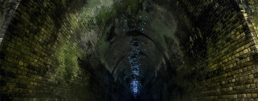 Glow Worm Tunnel