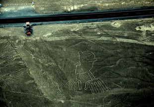 Linie z Nazca