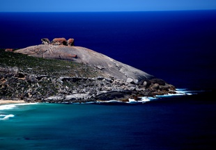 Australia. Wyspa Kangura