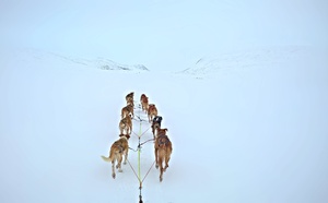 Wyprawa do Laponii