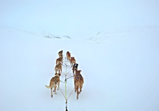 Wyprawa do Laponii